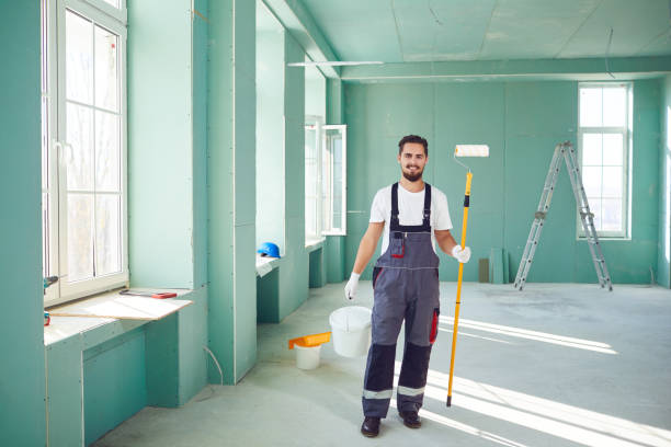 Best Attic Mold Removal  in Hesston, KS