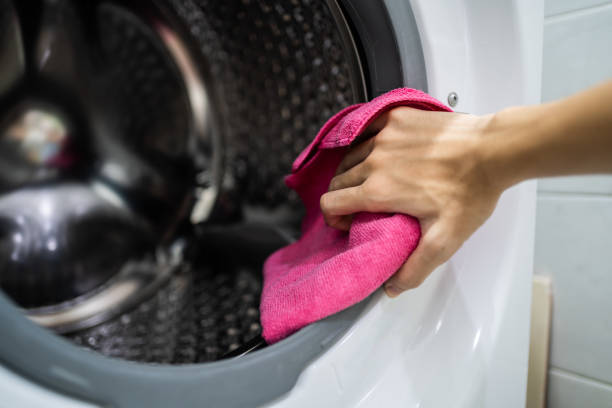 Mold Odor Removal Services in Hesston, KS