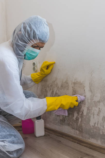 Dehumidification Services in Hesston, KS
