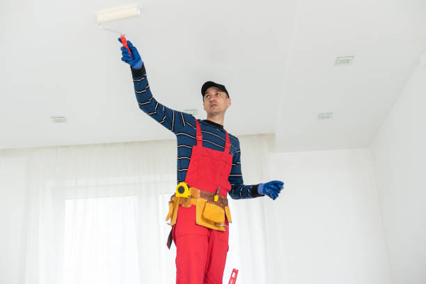 Best Mold Remediation for Vacation Homes  in Hesston, KS