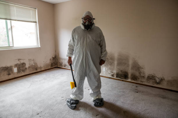 Best HVAC Mold Inspection and Cleaning  in Hesston, KS