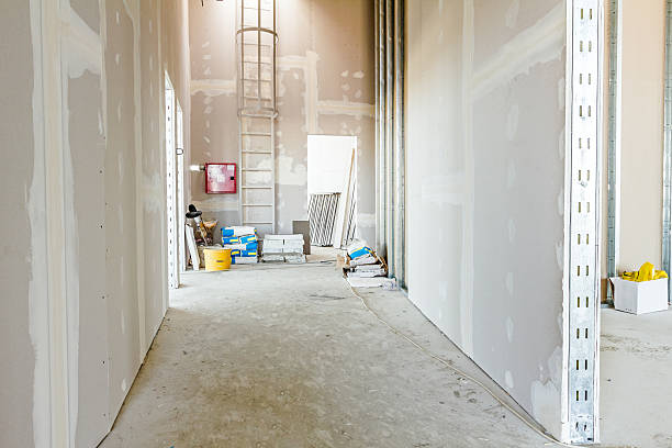 Best Black Mold Removal  in Hesston, KS