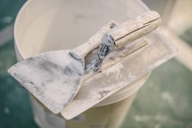 Best Environmental Consulting for Mold Prevention  in Hesston, KS