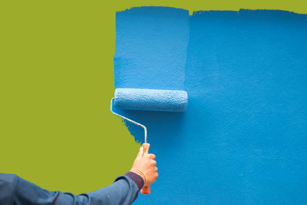 Best Biohazard Mold Removal  in Hesston, KS