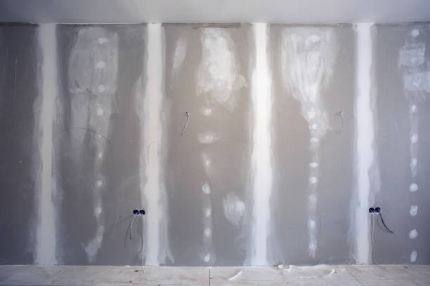Best Water Damage & Mold Remediation  in Hesston, KS